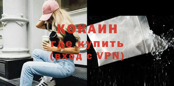 прущий лед Алзамай